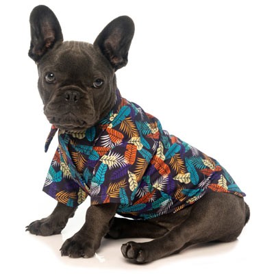 french bulldog hawaiian shirt