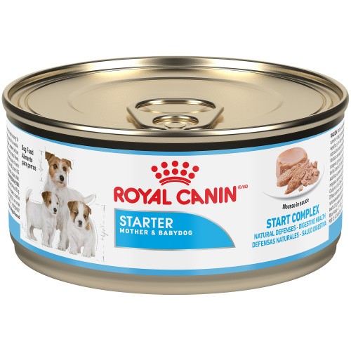 Royal Canin Starter Mother and Babydog Ultra Soft Mousse in Sauce